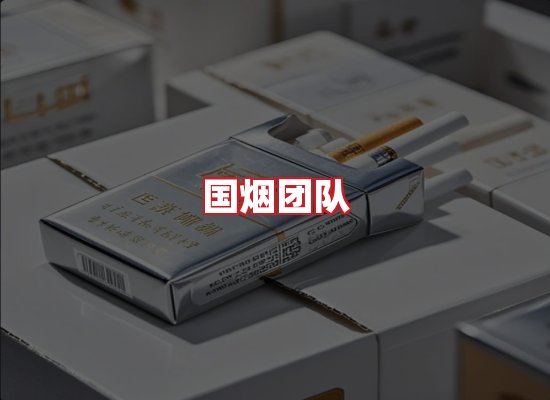 国烟团队